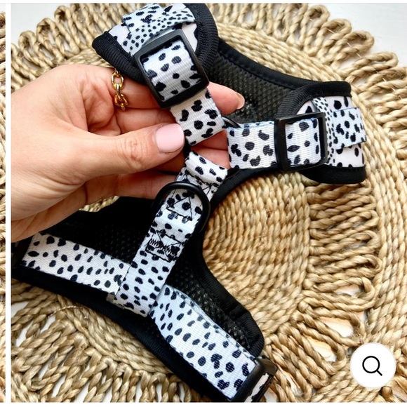 Cocopup London medium dog harness - Picture 3 of 5